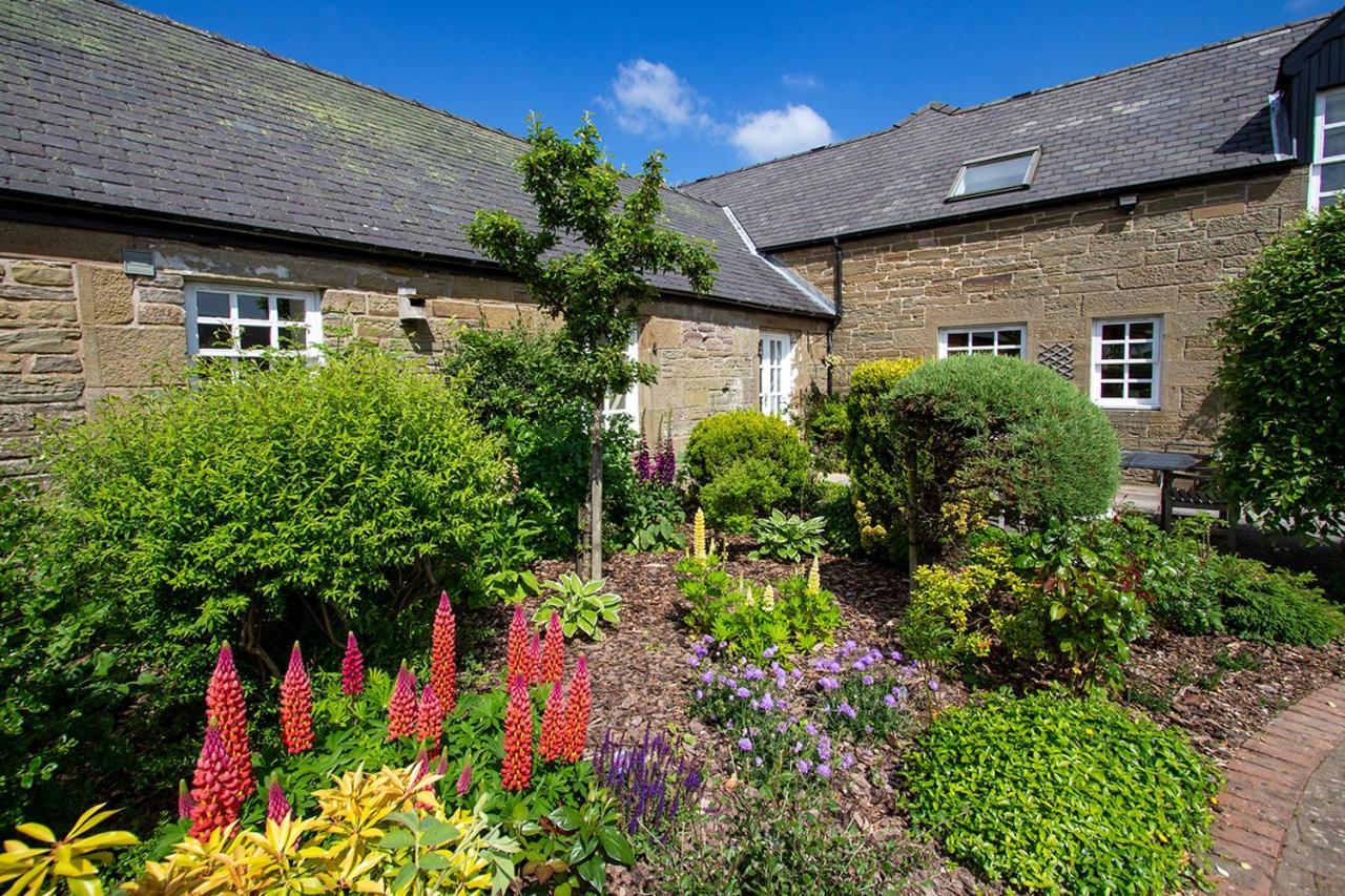 Home Farm B&B - Sunflower Room Forfar Esterno foto