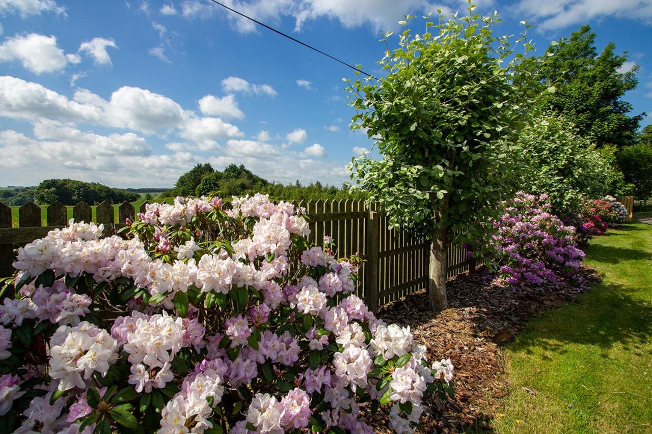 Home Farm B&B - Sunflower Room Forfar Esterno foto